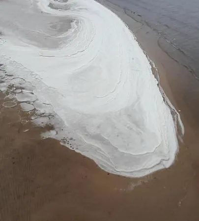 Guest house Lindenhof 3*