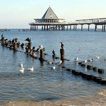 Lindenhof Guest house 3*