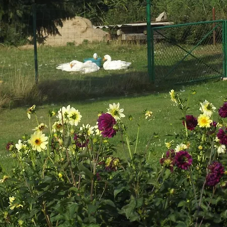 ゲストハウス Lindenhof Kachlin